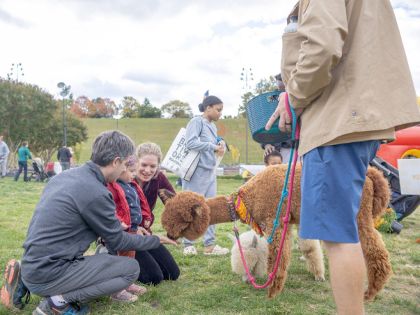 Celebrate fall with pumpkins, pies, and a petting zoo at 17th Harbor Harvest festival